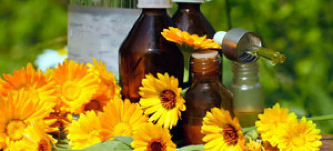 Как восстановить работу желудка после отравления и заставить работать