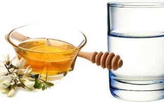 Мед для желудка и кишечника — лечение — полезен ли мед?