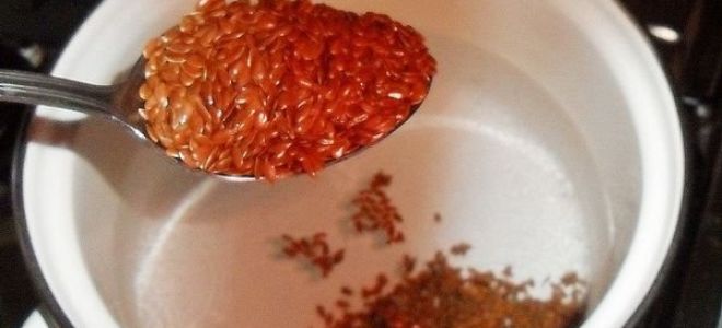 Отвар семян льна для желудка и кишечника: лен при гастрите