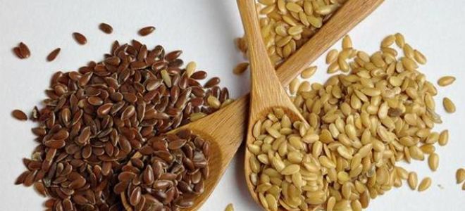 Застой желчи в желудке: настолько опасен и как лечить