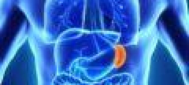 Где находится подложечная и надчревная область