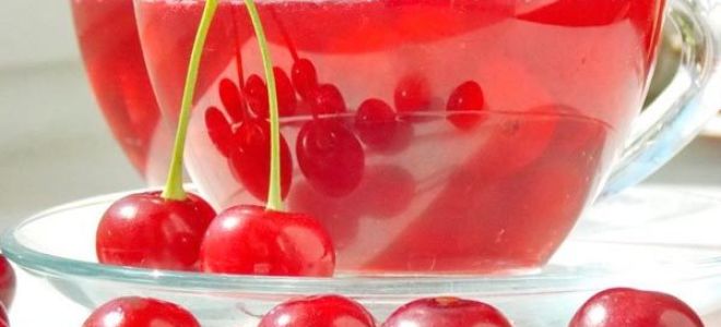 Польза киселя для желудка и кишечника
