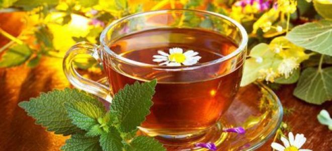 Гиперпластический гастрит — все о гастрите