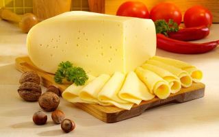 Сыр при гастрите с пониженной и повышенной кислотностью