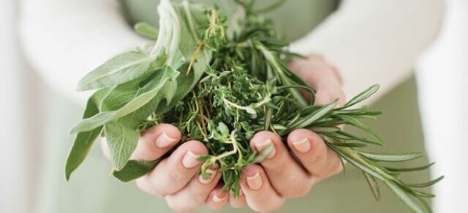 Какие продукты способны снижать кислотность желудка при гастрите, таблица