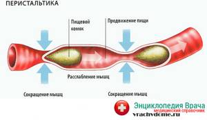 Методы нормализации работы желудочно-кишечного тракта
