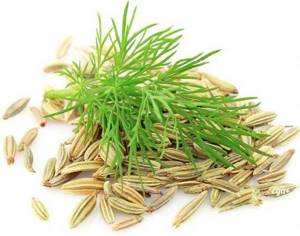 Самые полезные лечебные травы для желудка и кишечника