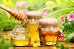 Мед при гастрите желудка, лечение гастрита медом