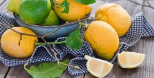 Лимон при гастрите: польза или вред при повышенной кислотности