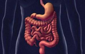 Атония кишечника: причины, симптомы и лечение