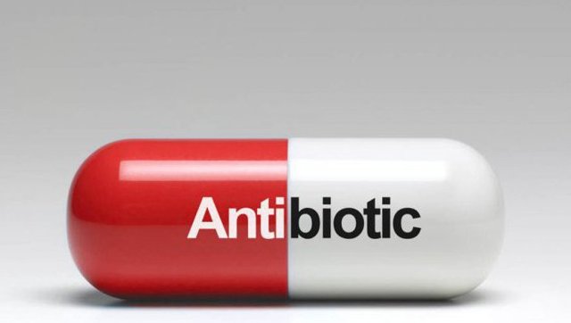 Восстановление микрофлоры кишечника: препараты и продукты после антибиотиков