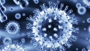 Профилактика ротавирусных инфекций на море: препараты уберечься и предотвратить кишечную инфекцию