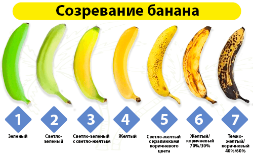 Можно ли есть бананы при гастрите с повышенной кислотностью, при язве