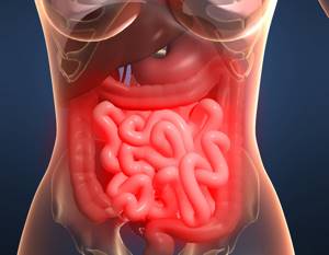Грибок в кишечнике (кандидоз): симптомы и лечение инфекции