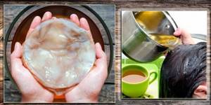Чайный гриб: польза и вред при гастрите
