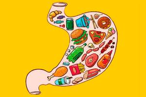cколько времени переваривается пища в желудке человека