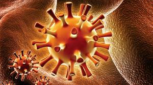 Бактериальная инфекция: симптомы и лечение заболевания у женщин, антибиотики