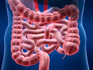Дисбактериоз кишечника: симптомы, диагностика и лечение