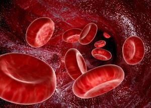 Кровь в кале: основные причины и методы лечения