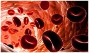 Норма общего билирубина в крови