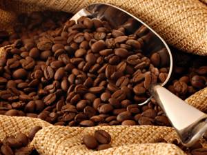 Болит желудок после кофе: основные причины