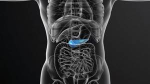 Открытая язва желудка: причины, симптомы и лечение