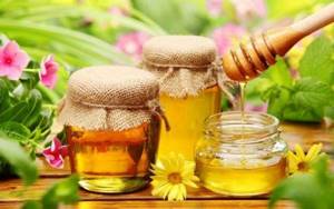 Мед для желудка и кишечника - лечение - полезен ли мед?
