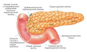 Признаки заболевания поджелудочной железы: проявления, симптомы и лечение