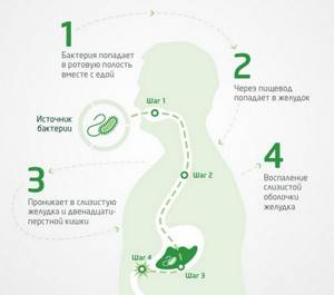 Хеликобактер симптомы проявления на коже - бактерии в желудке
