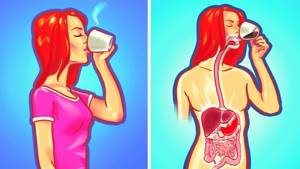 Можно ли пить кофе на голодный желудок?