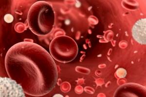 Анализ крови при гастрите желудка: показатели, общий и биохимический