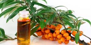 Облепиховое масло: применение и лечебные свойства, противопоказания