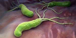 Как передается бактерия Хеликобактер Пилори - как можно заразиться